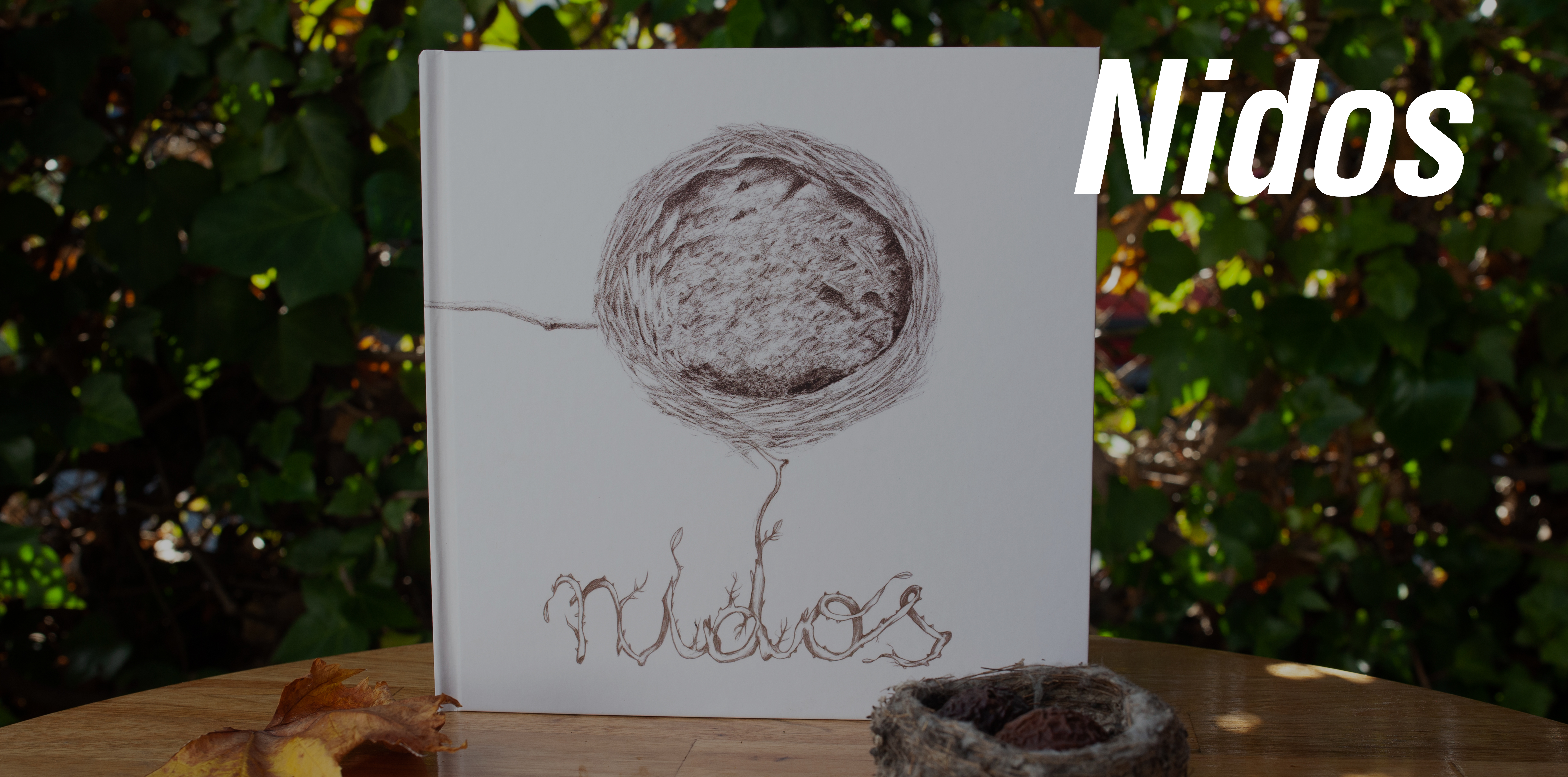 libro-nidos-sara-sanchez-ilustracion-marga-sanchez-macarena-moreno